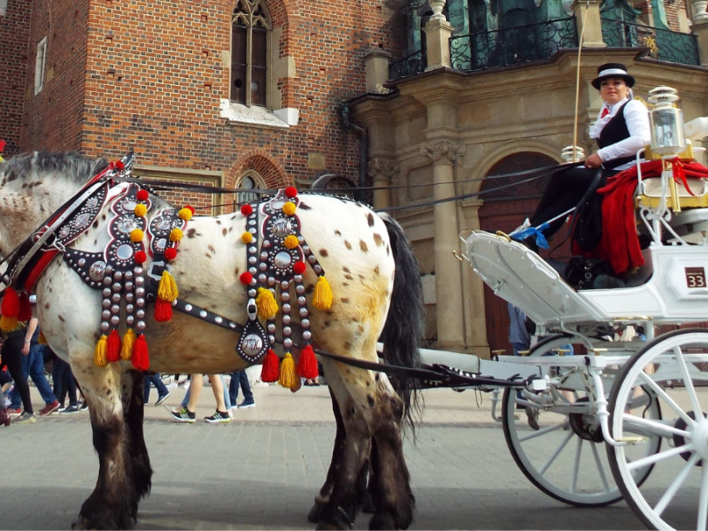 Krakow: the City of Kings and&nbsp;Dragons